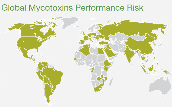 Cargill issues 2021 world mycotoxin report