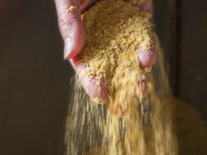 Study demonstrates effectiveness in offsetting common molds in aquafeeds