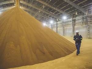 Fourth ultra-high protein installation for Green Plains