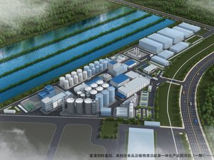 Louis Dreyfus Company breaks ground on Chinese food industrial park