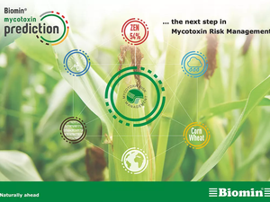 Biomin warns of high levels of mycotoxins in 2020 European corn and wheat harvest