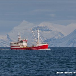 Feed companies call on scientific limits for fishing quotas