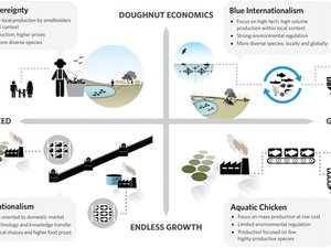 Aquacultures role in nutrition in the COVID-19 era