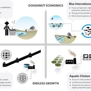 Aquacultures role in nutrition in the COVID-19 era