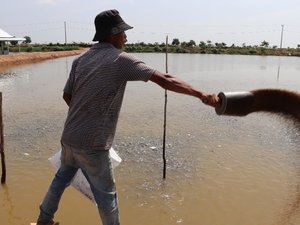 First financial program for Cambodian aquaculture supports the whole value chain