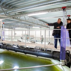 Alltech Coppens expanded aqua center to focus on RAS