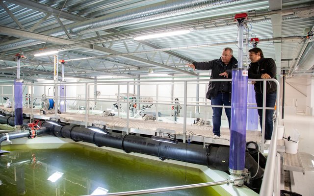 Alltech Coppens expanded aqua center to focus on RAS