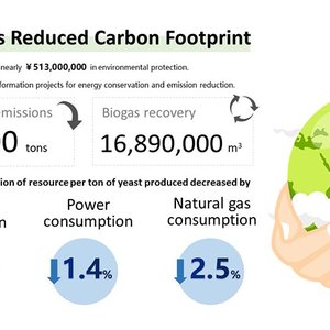 Angel Yeast to ramp up efforts in sustainable development