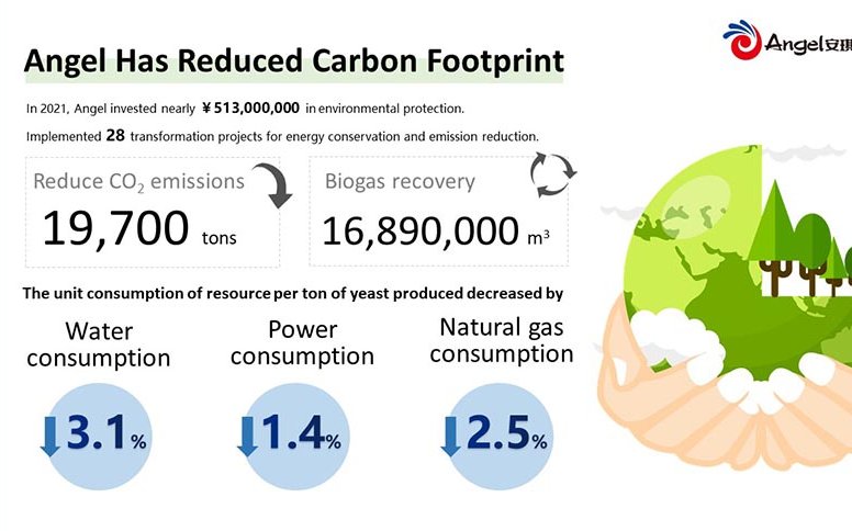 Angel Yeast to ramp up efforts in sustainable development