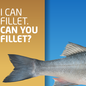 How far can we go with omega-3 fatty acids in fish fillets