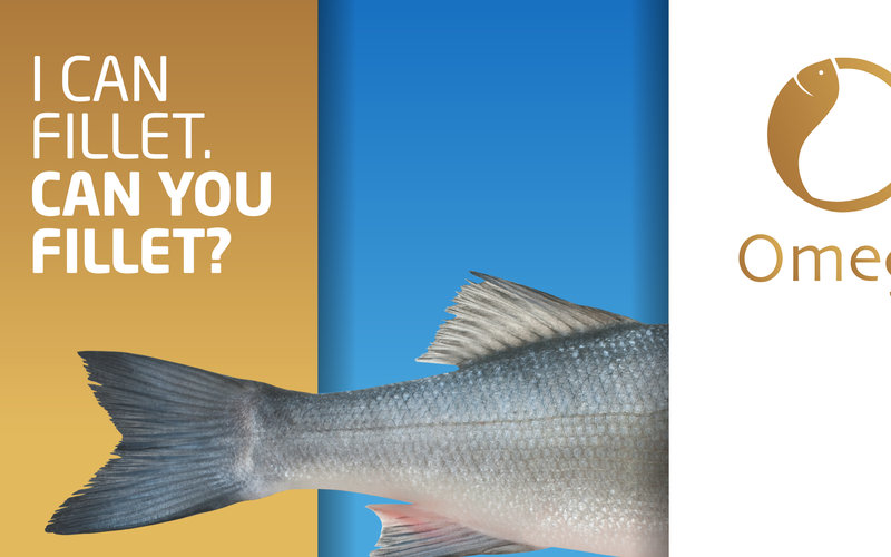 How far can we go with omega-3 fatty acids in fish fillets