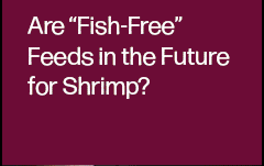 Join F3 webinar on emerging trends in alternative feeds for shrimp