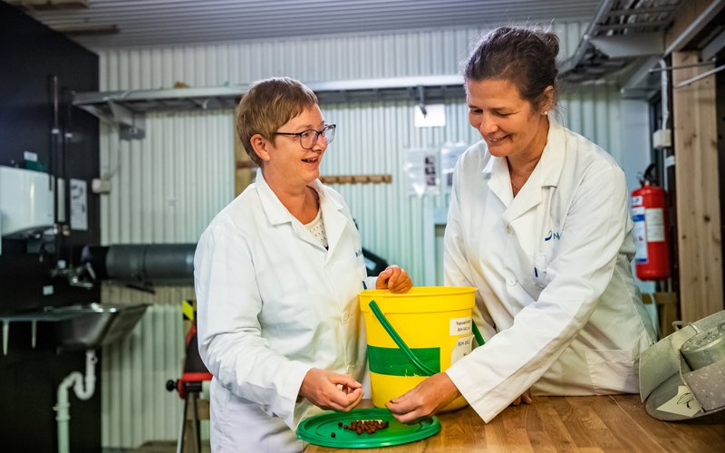 Salmon aquafeed slowly changing to alternative ingredients