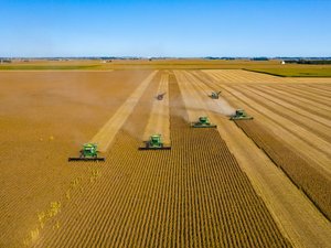 Soy prices rise, U.S. to plant record crops