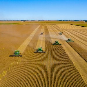 Soy prices rise, U.S. to plant record crops