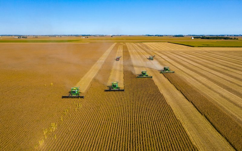 Soy prices rise, U.S. to plant record crops
