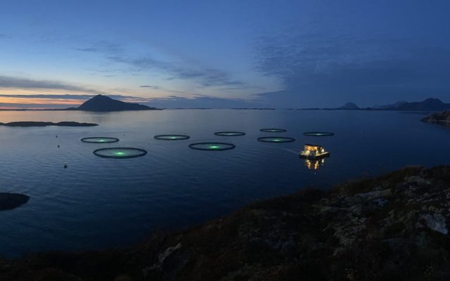 BioMar partners with cod farming company