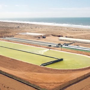 Brilliant Planet Limited closes $12 million funding to grow algae in the desert