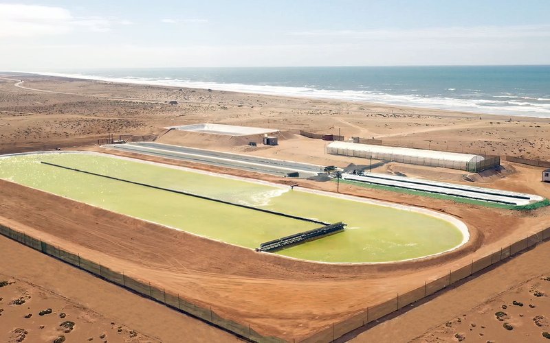 Brilliant Planet Limited closes $12 million funding to grow algae in the desert