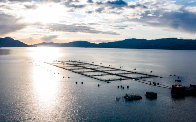 Cargill to acquire 24.5% of Multi X