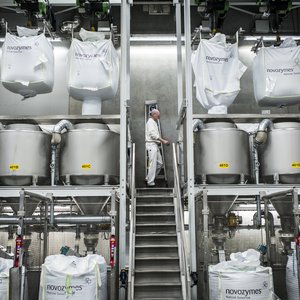 Green Plains and Novozymes partner in protein production