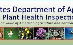 USA opens public comment for national list of reportable animal diseases