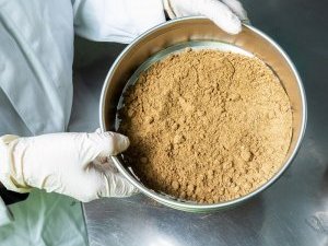 IFFO reports higher cumulative fishmeal and fish oil production compared to 2020