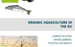 Organic aquaculture in the EU