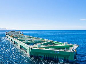 Will offshore aquaculture bring evolution or revolution to the seafood industry?