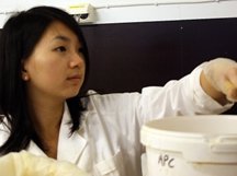 Trying out microalgae as fish oil replacement in salmon feed 