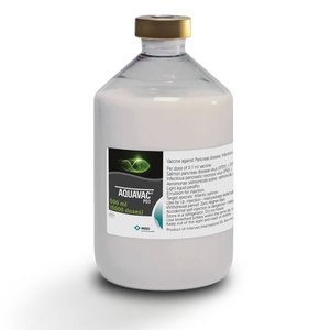 MSD Animal Health Launches Single-Injection Vaccine AQUAVAC® PD3 in UK and Ireland - Protects Against the Three Most Common Salmon Diseases
