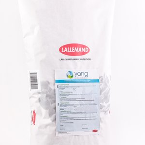 Lallemand Animal Nutrition new solution: YANG