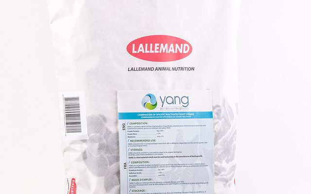  | Lallemand Animal Nutrition new solution: YANG