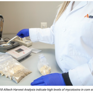 High levels of mycotoxins detected across the U.S. in Alltech's 2018 Harvest Analysis