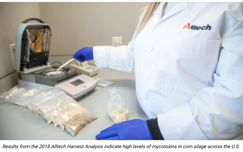 High levels of mycotoxins detected across the U.S. in Alltech's 2018 Harvest Analysis