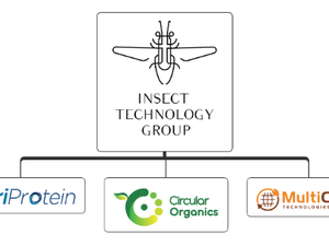 Circular Organics acquires Belgian insect company Millibeter