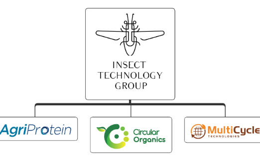 Circular Organics acquires Belgian insect company Millibeter