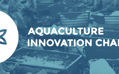 Aquaculture Innovation Challenge last call