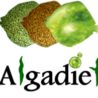 ALGADIET project to produce turbot algae-based feed 