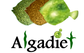 ALGADIET project to produce turbot algae-based feed 