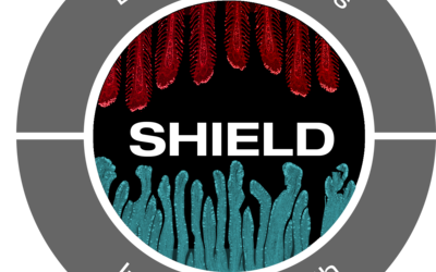 Skretting launches world-first diet to enhance both gill and gut integrity