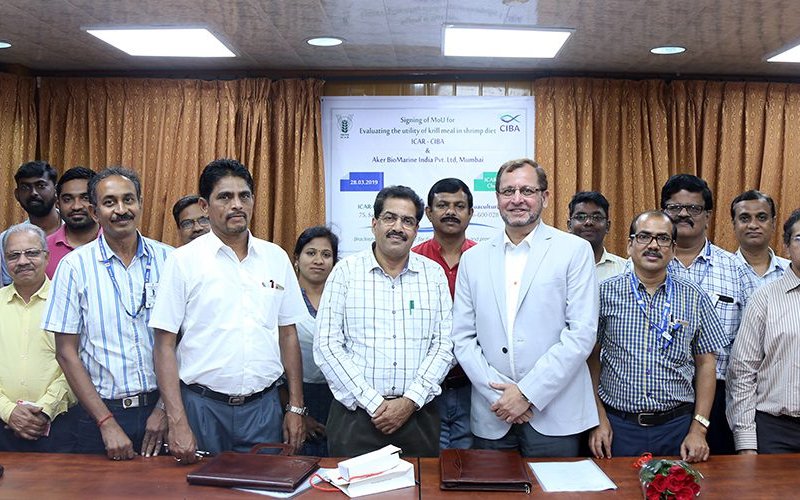 India will test Krill meal as a functional ingredient in fish and shrimp
