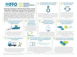 IFFO and GAA's report on how to improve Southeast Asian fishmeal's fisheries