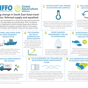 IFFO and GAA's report on how to improve Southeast Asian fishmeal's fisheries