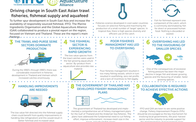 IFFO and GAA's report on how to improve Southeast Asian fishmeal's fisheries