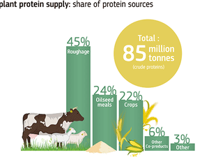 EU publishes an overview of feed supply