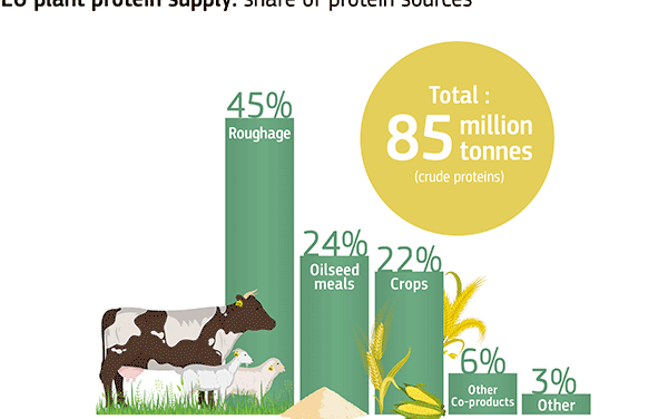 EU publishes an overview of feed supply