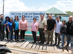 Philippine researchers test low-cost feed formulation