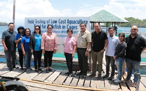 Philippine researchers test low-cost feed formulation