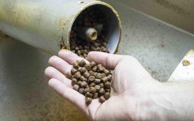 ASC's Feed Standard close to completion